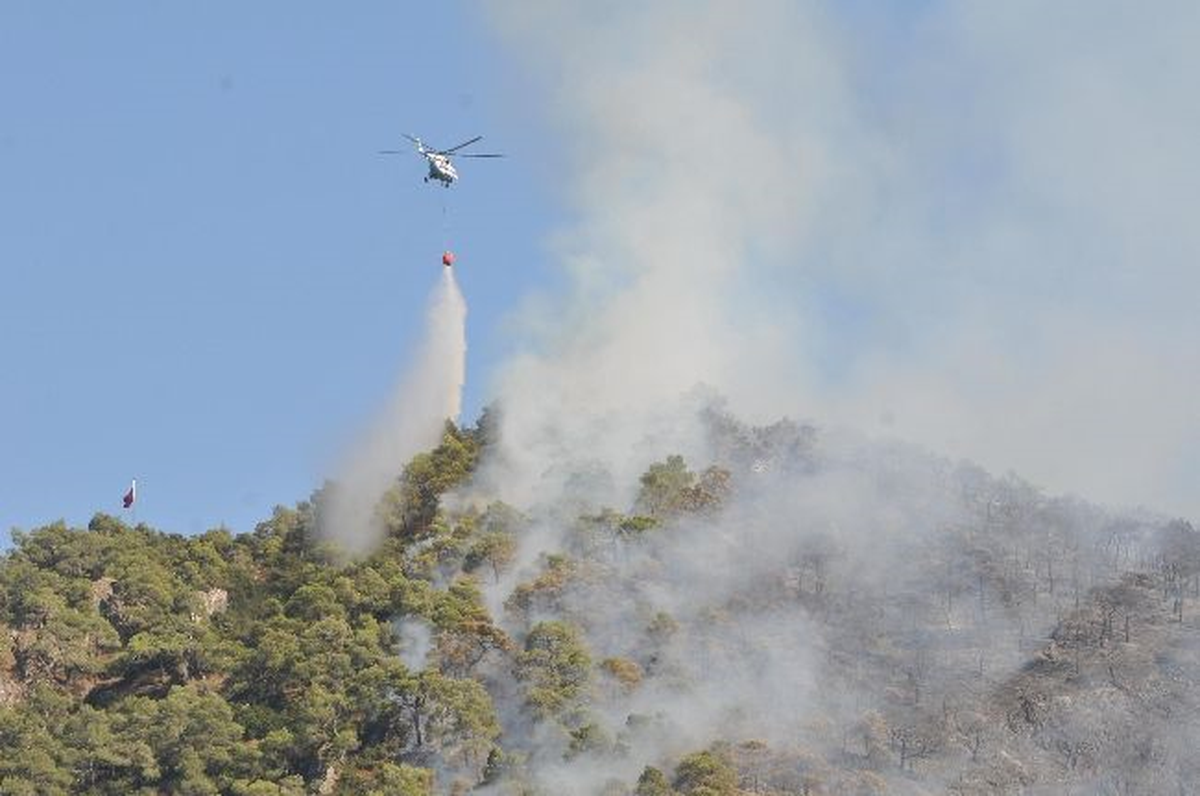 Turgutlu\'da Orman Yangını (2)