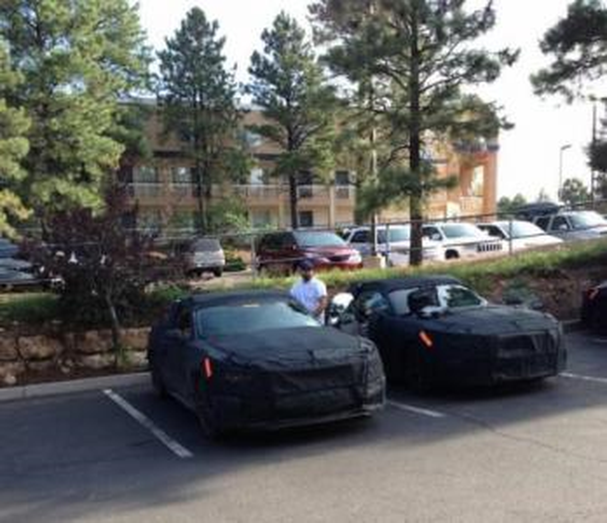 2015 Ford Mustang, Arizona\'da Yakalandı