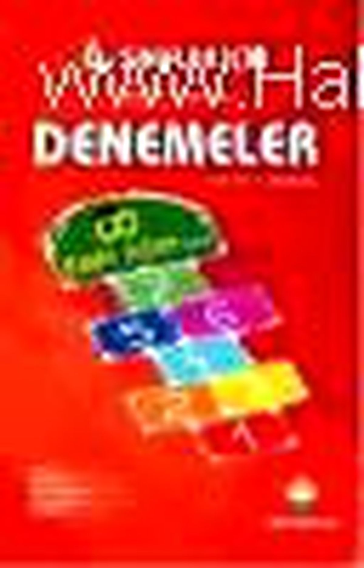 6. Sınıflar İçin Deneme Kitabı