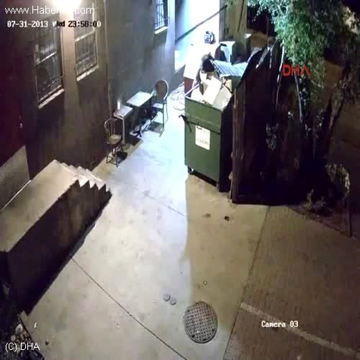 Aç Ayı Lokantanın Çöp Konteynerini Böyle Çalıp Götürdü