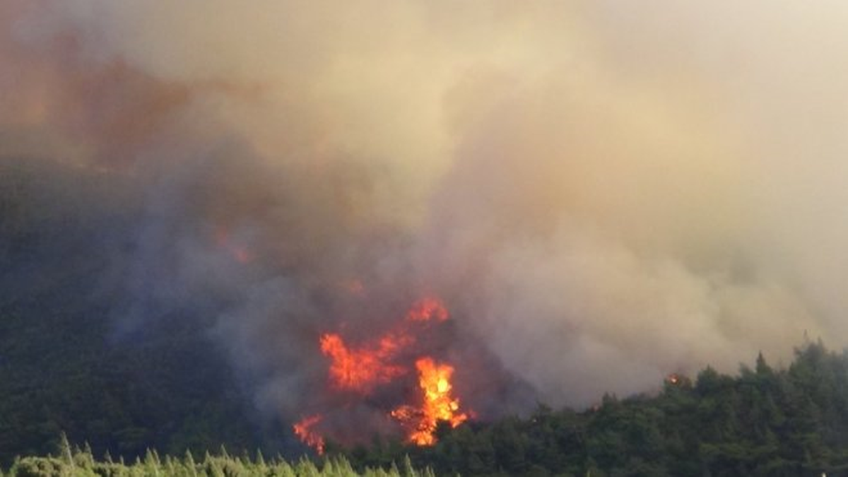 Balıkesir\'de Orman Yangını Kısmen Kontrol Altına Alındı