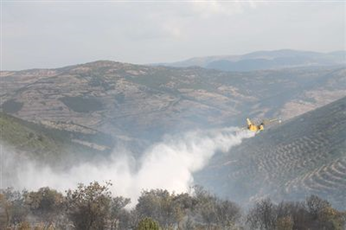 Balıkesir\'deki Orman Yangını