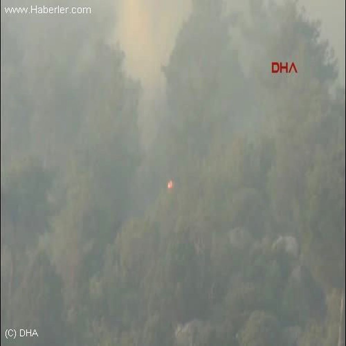 Bilecik\'te Orman Yangını