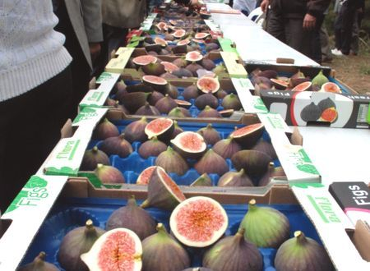 "Bursa Siyah İnciri" İçin İsrail\'e Uyarı