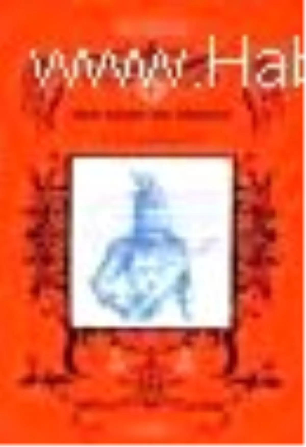 Don Kişot\'un Dönüşü Kitabı