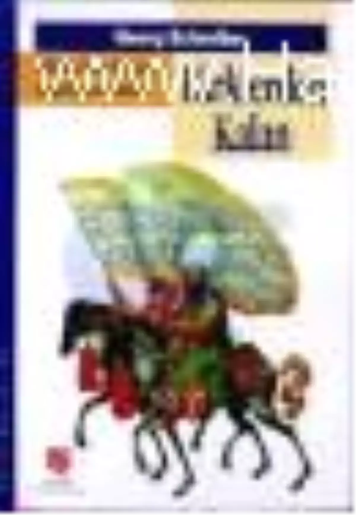 Edirne\'den Viyana Kapılarına Kadar Türklerden Kalan Kitabı