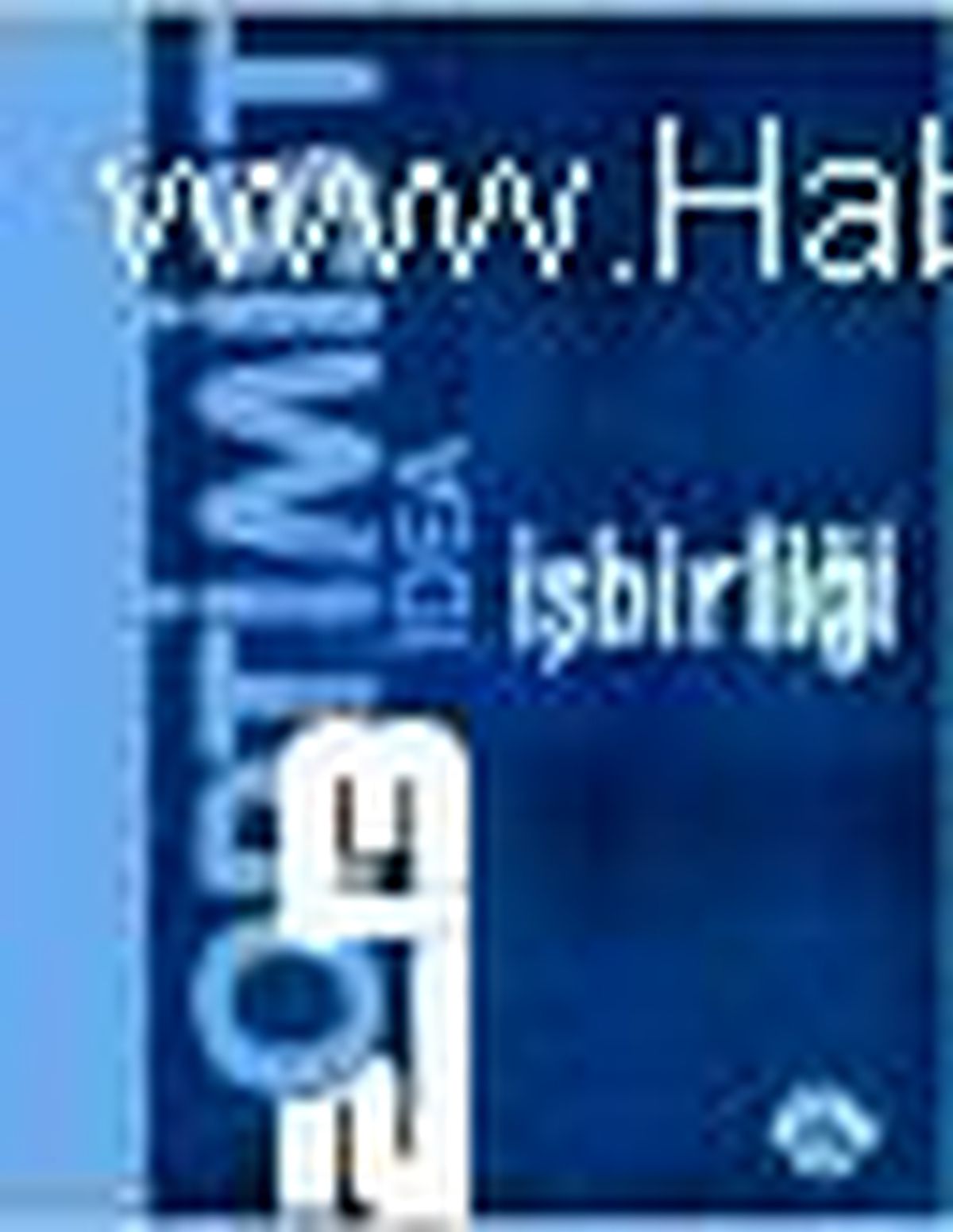 Optimist İdea 2013 - İşbirliği Kitabı