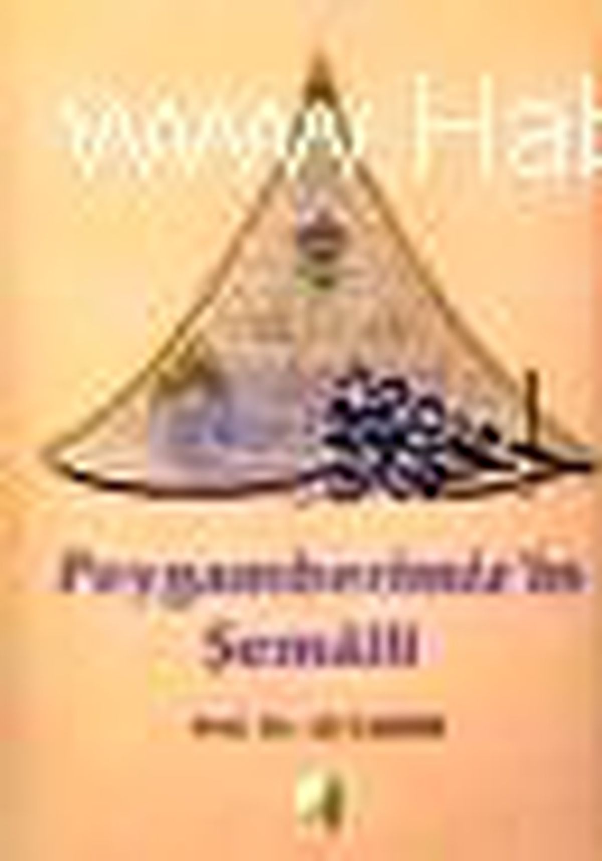 Peygamberimiz\'in Şemaili (Ciltli) Kitabı