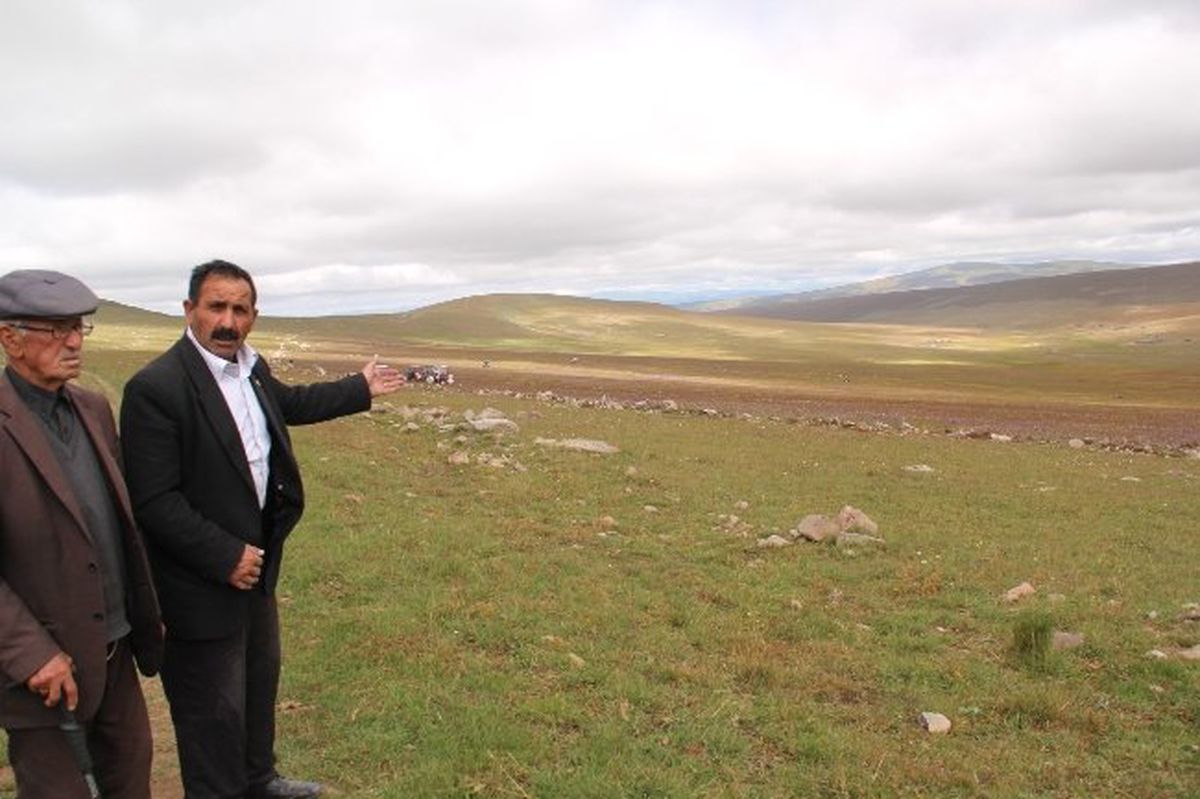 Sarıçayır Biçilmeye Başlandı