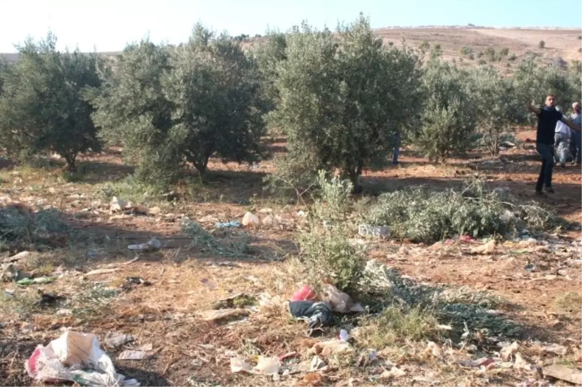 Suriye Sınırında Kuşaklı Köyündeki Kaçakçılara Jandarma Müdahale Etti: 8 Yaralı