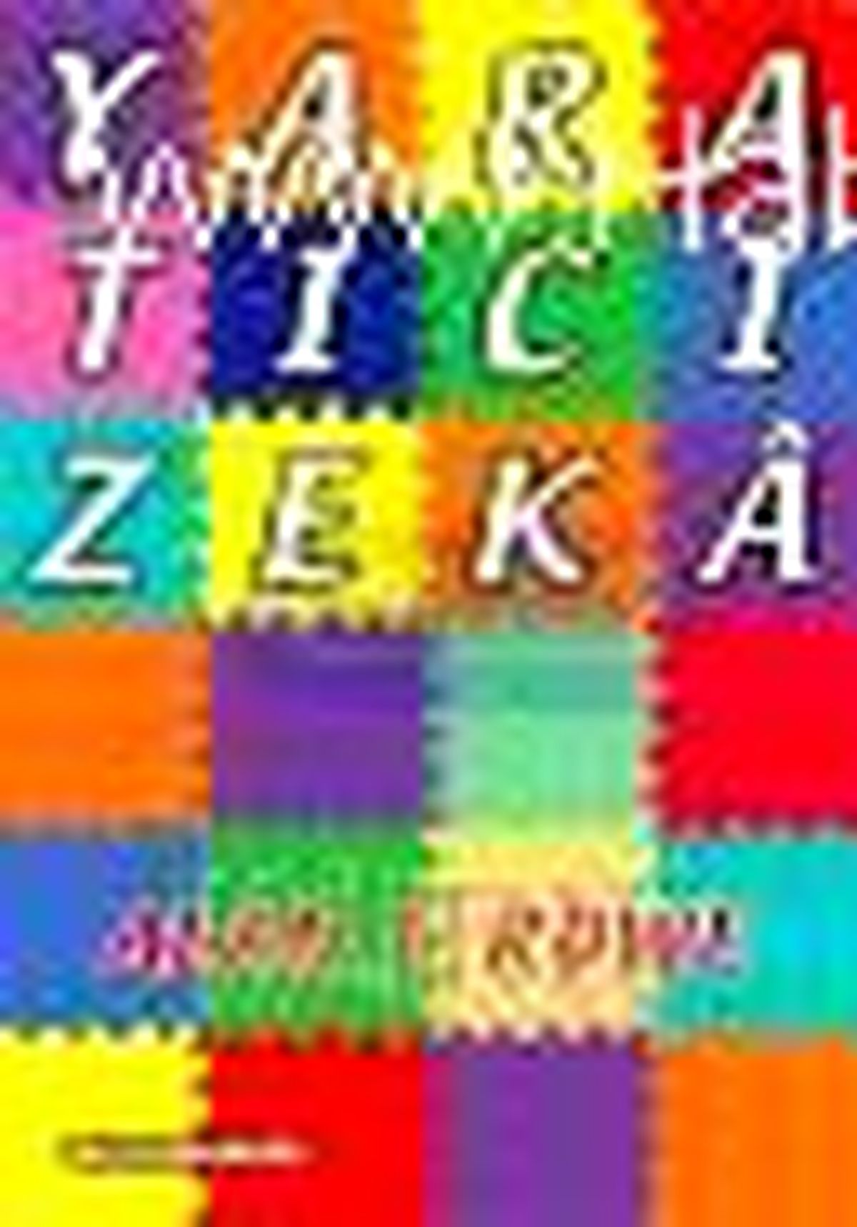 Yaratıcı Zeka Kitabı