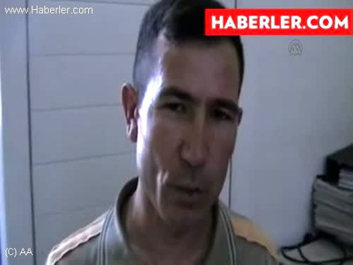 Yolda balık fosili buldu