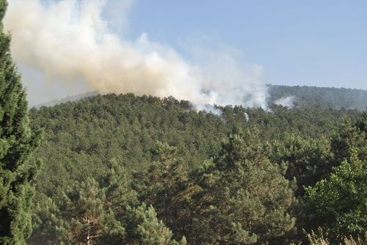 Antakya\'daki Orman Yangını 3 Gündür Söndürülemiyor