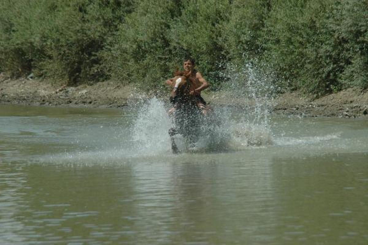 Atlara Karasu Nehri\'nde Serinlik
