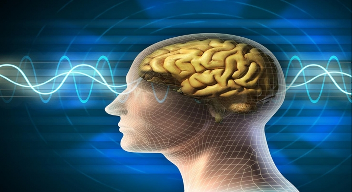 Başa Alınan Darbe, Iq\'yu Düşürüyor