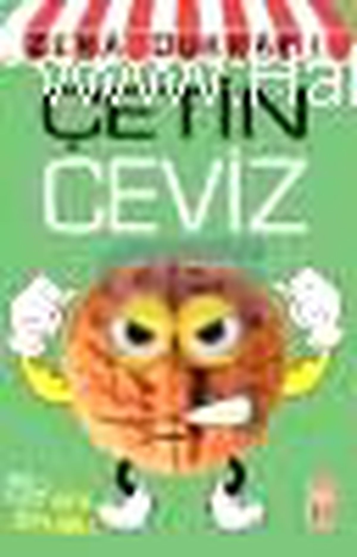 Çetin Ceviz Kitabı