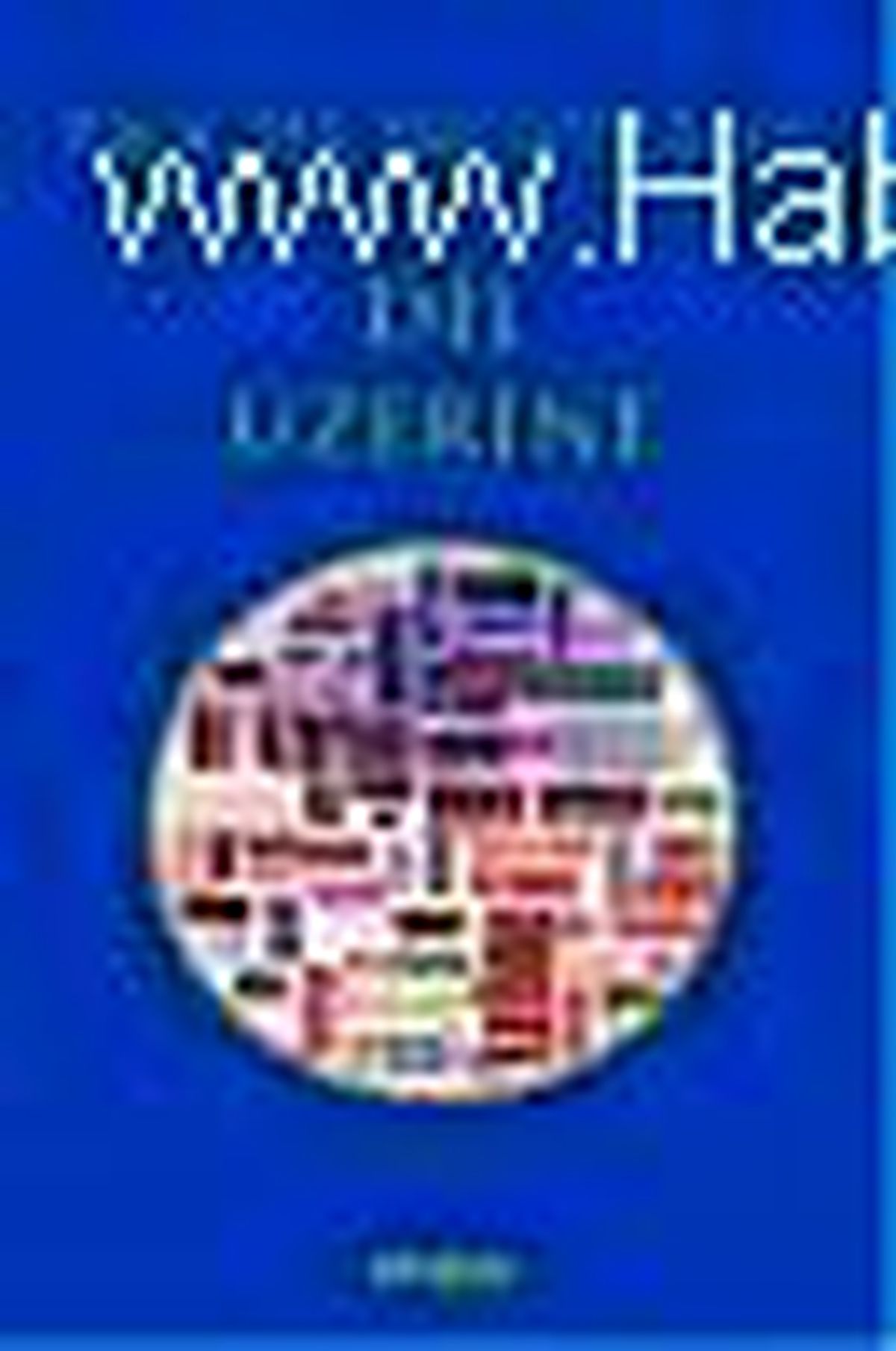 Dil Üzerine Kitabı