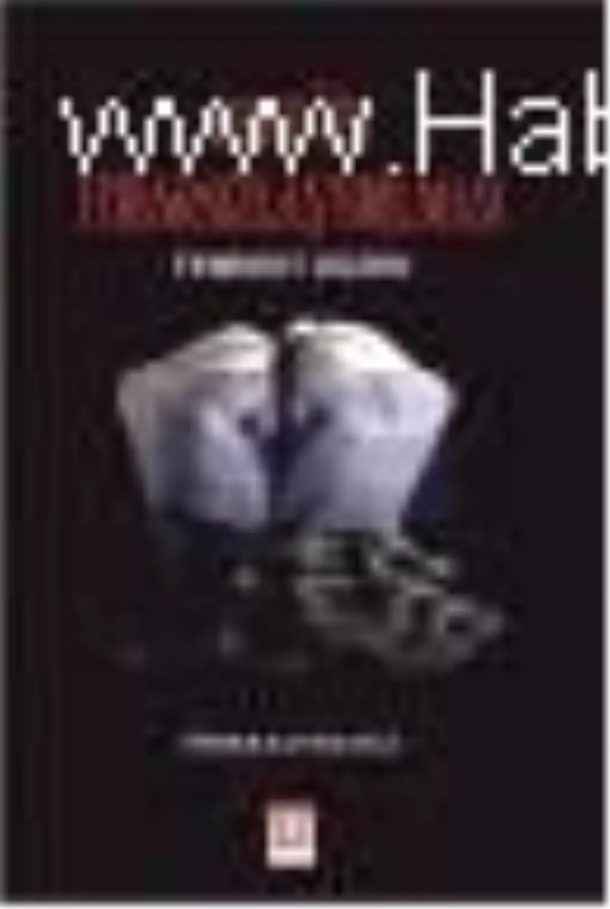 Erkeğin İtibarsızlaştırılması Kitabı