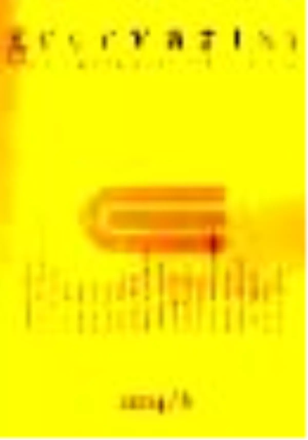 Geceyazısı 2004/6 Kitabı