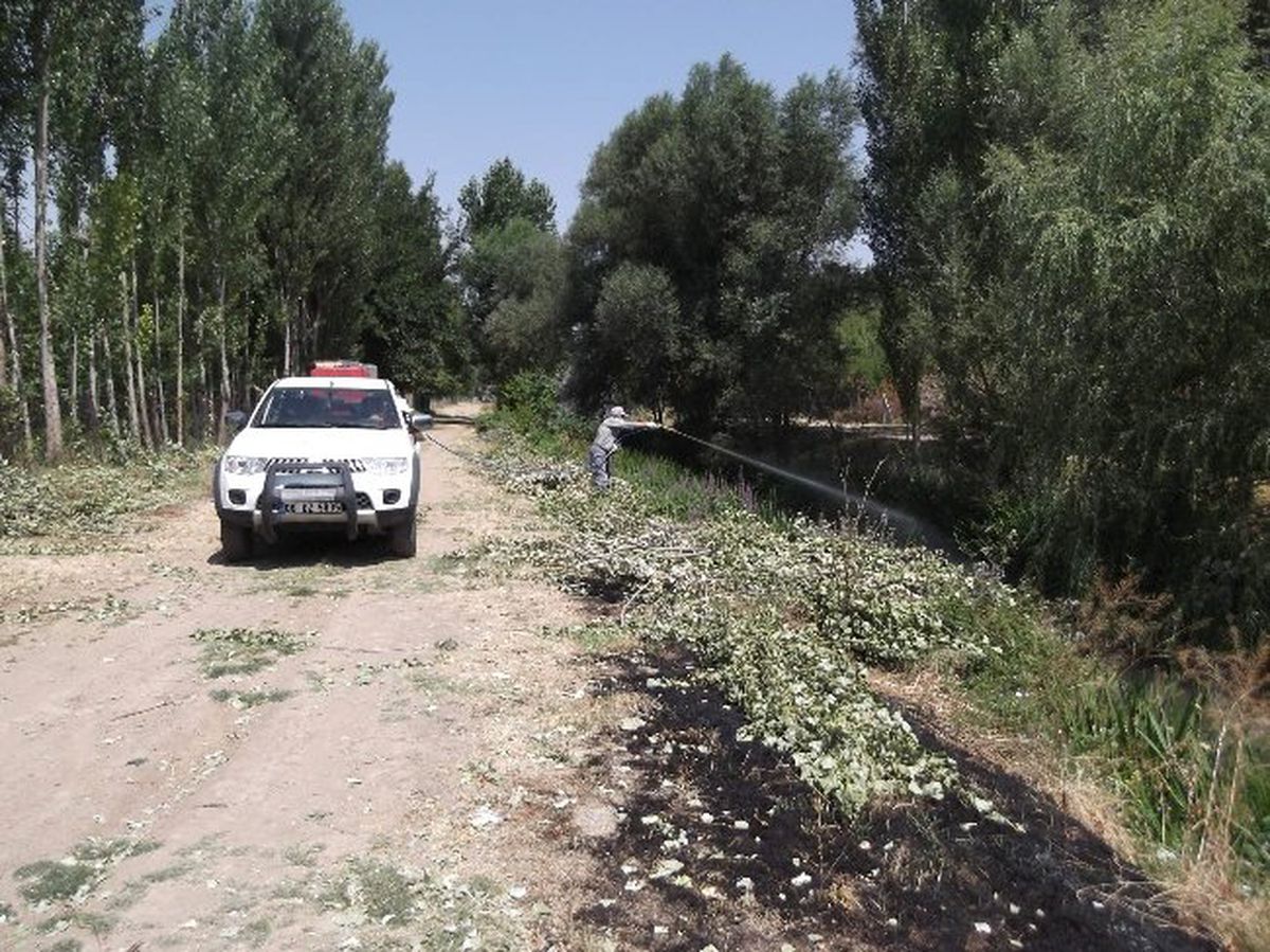 Haşerelerle Etkin Mücadele Devam Ediyor