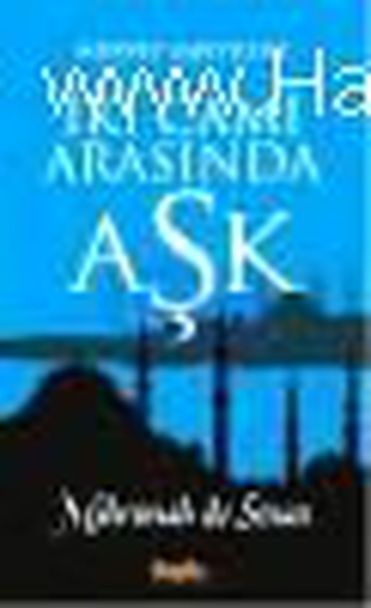 İki Cami Arasında Aşk Kitabı