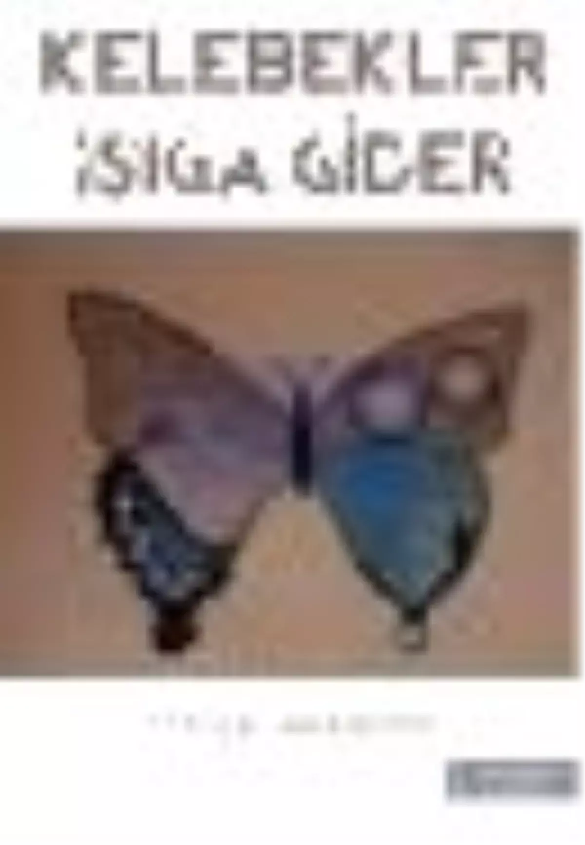 Kelebekler Işığa Gider Kitabı