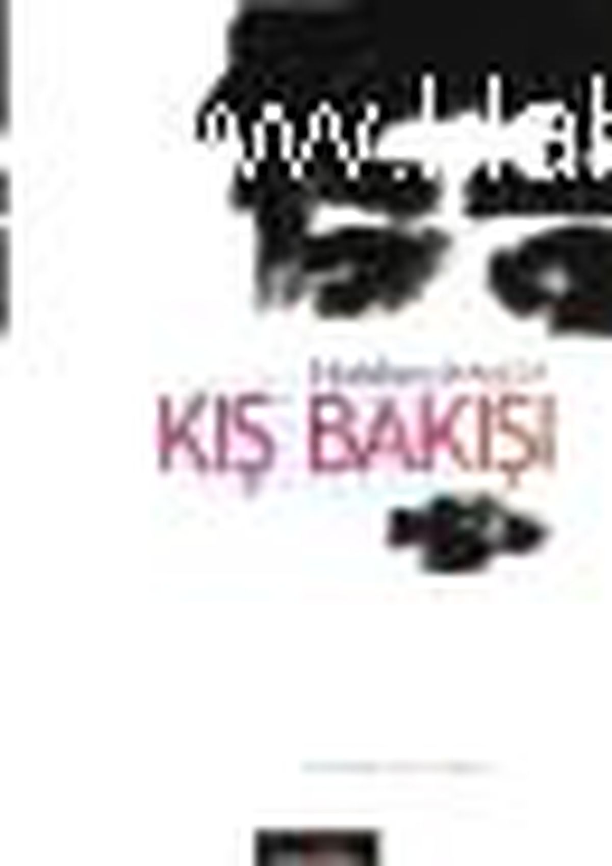 Kış Bakışı Kitabı