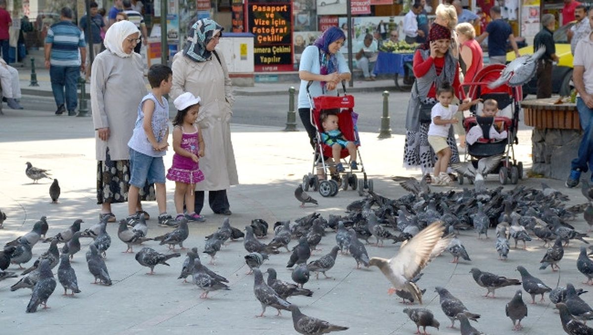 Kuşlar Küçüklerin İlgi Odağı