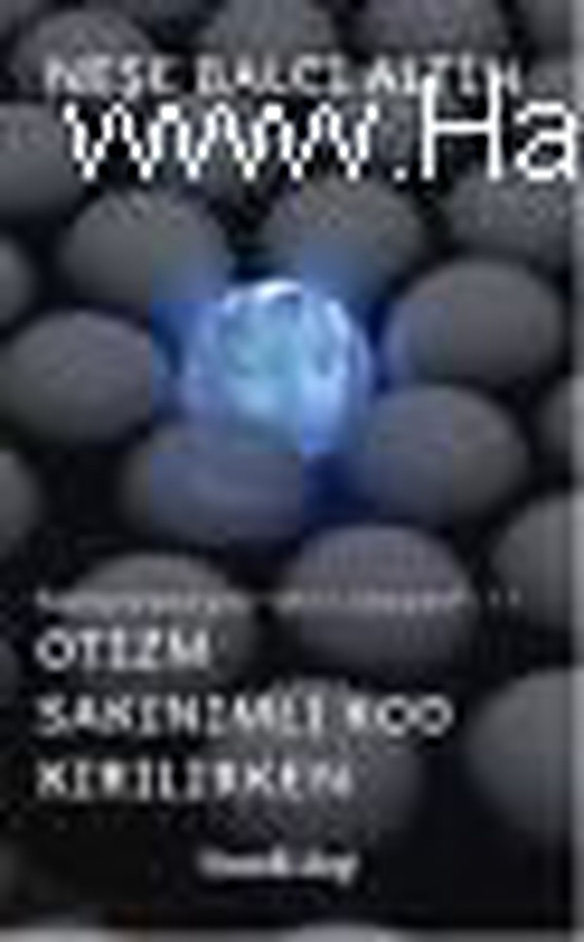 Otizm Sakınımlı Kod Kırılırken Kitabı