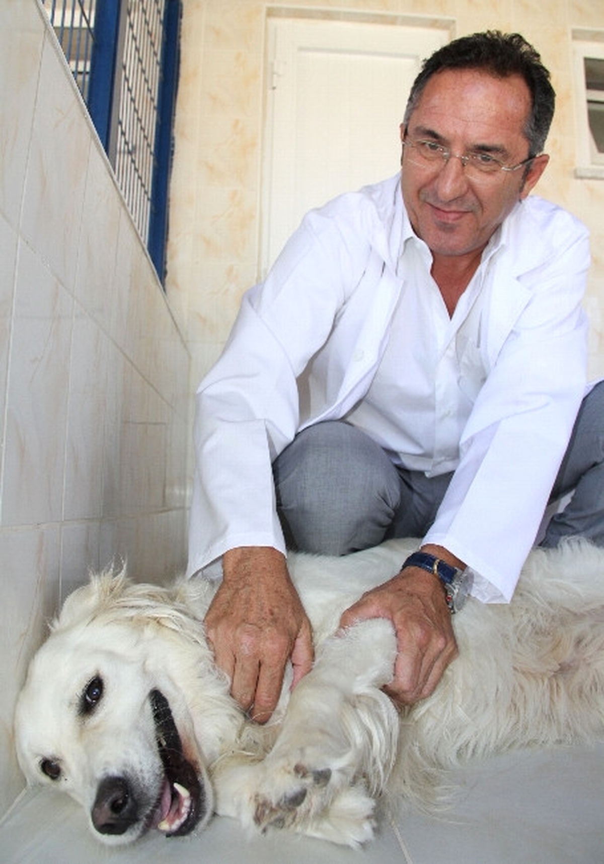 Sahipleri Bayram Tatiline Çıktı, Hayvan Otelinde Yer Kalmadı