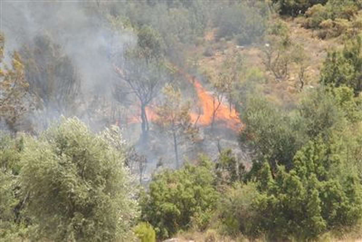 Çanakkale\'de Orman Yangını Çıktı
