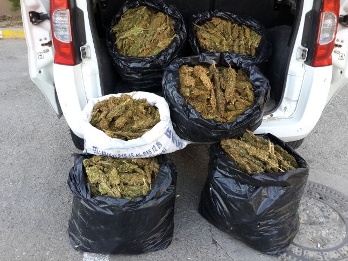 Batman\'da 51 Kilo Esrar Ele Geçirildi