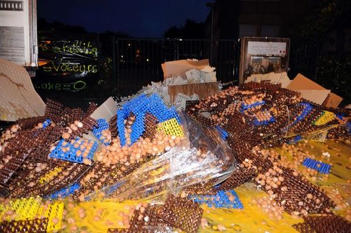 Maskeli Çiftçiler 200 Bin Yumurta Kırdı