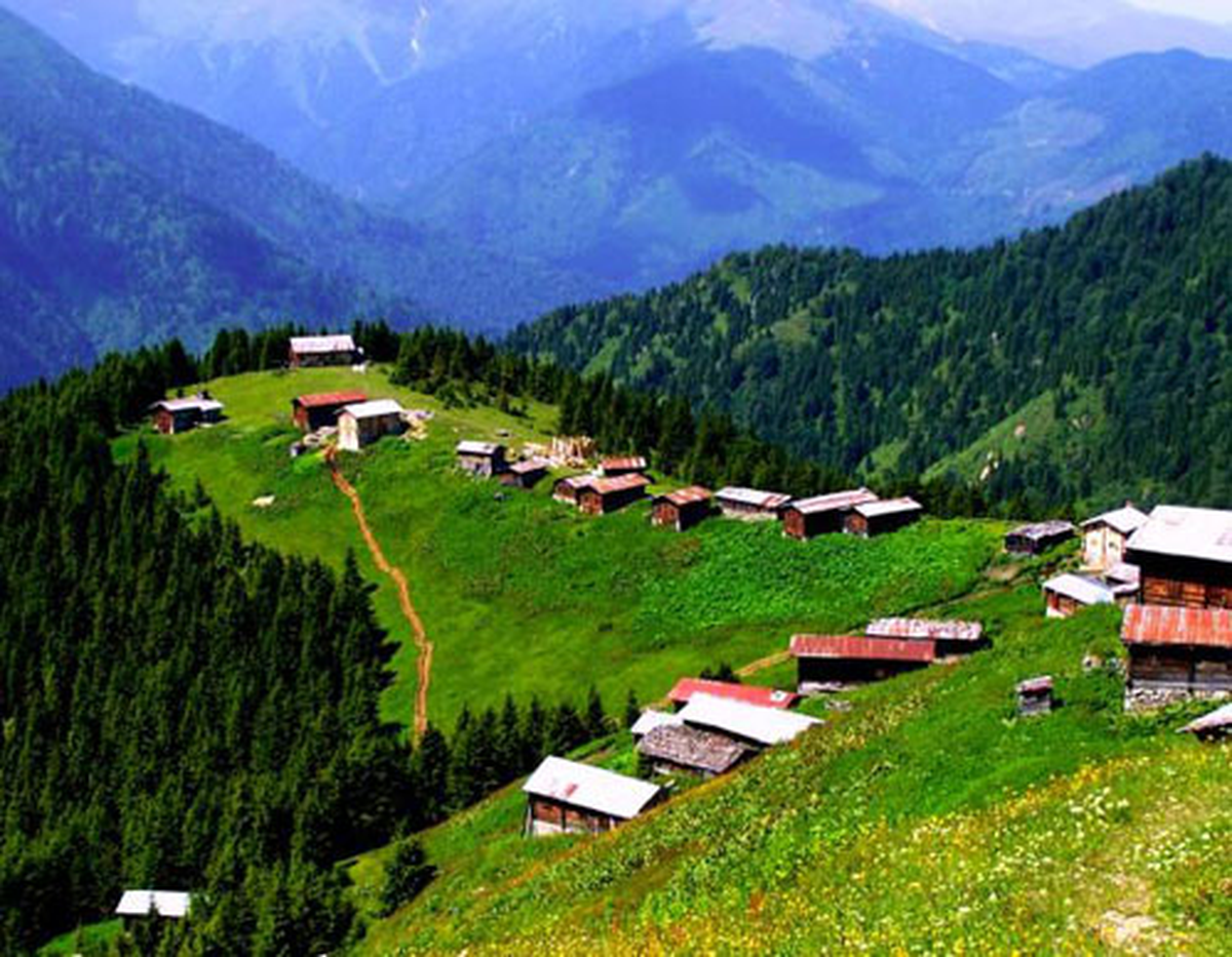 Yayla Hayatını İple Çekiyorlar