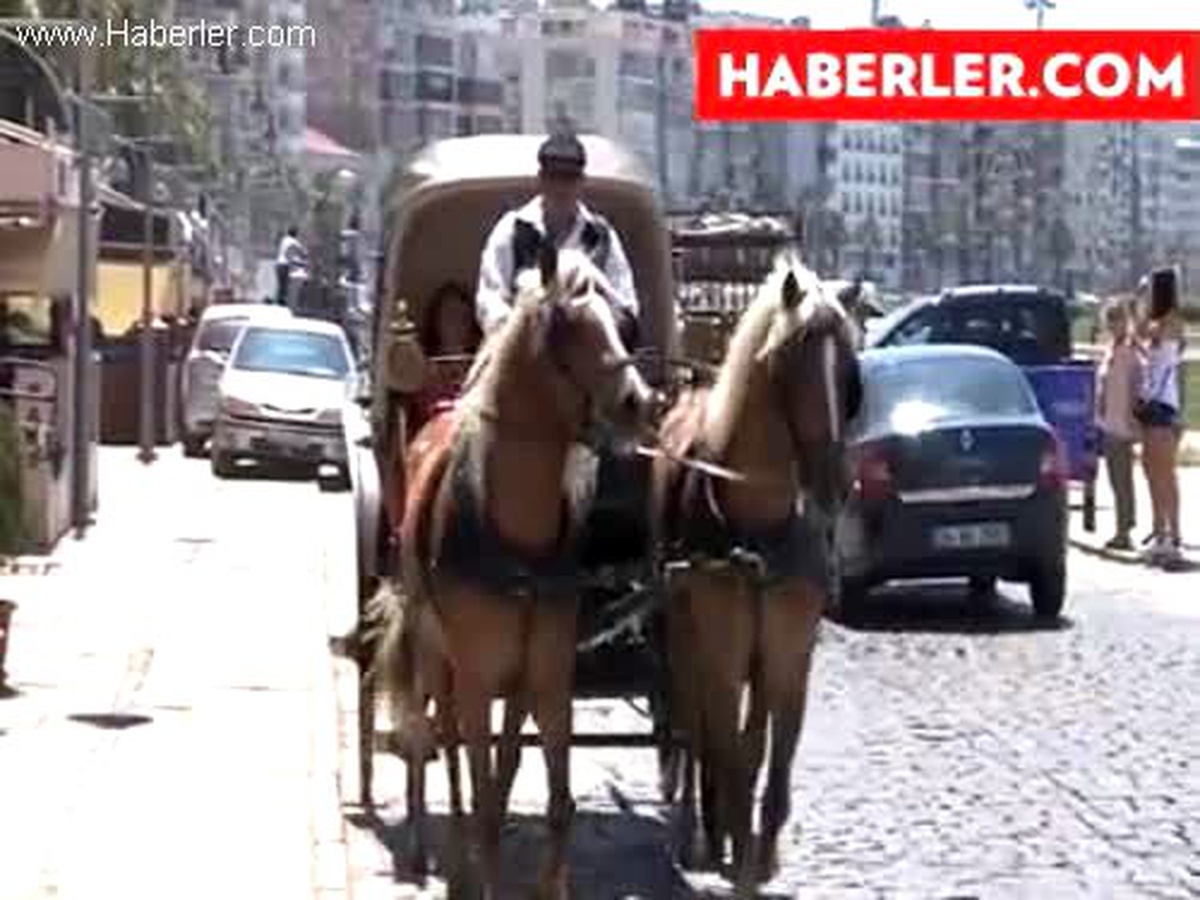 Yenilenen faytonlar turistlerin de gözdesi