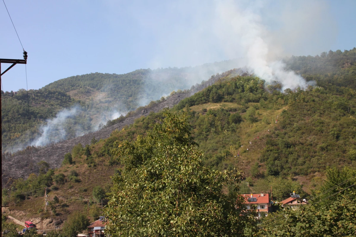 Zonguldak\'ta Orman Yangını