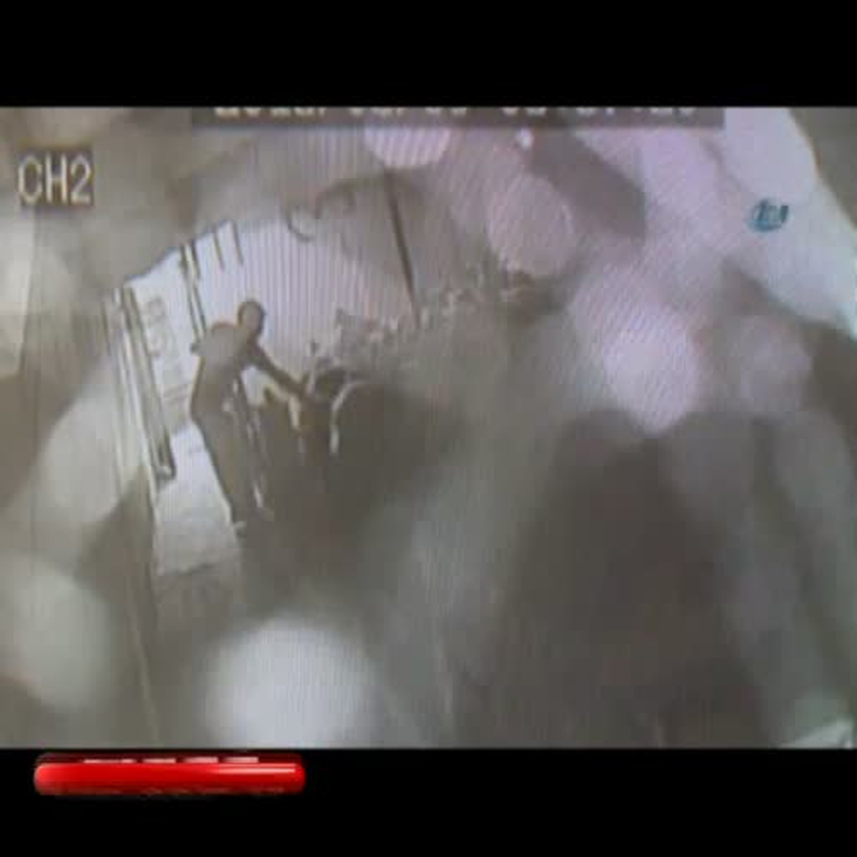 Altı Dakikada 19 Koyunu Çaldılar