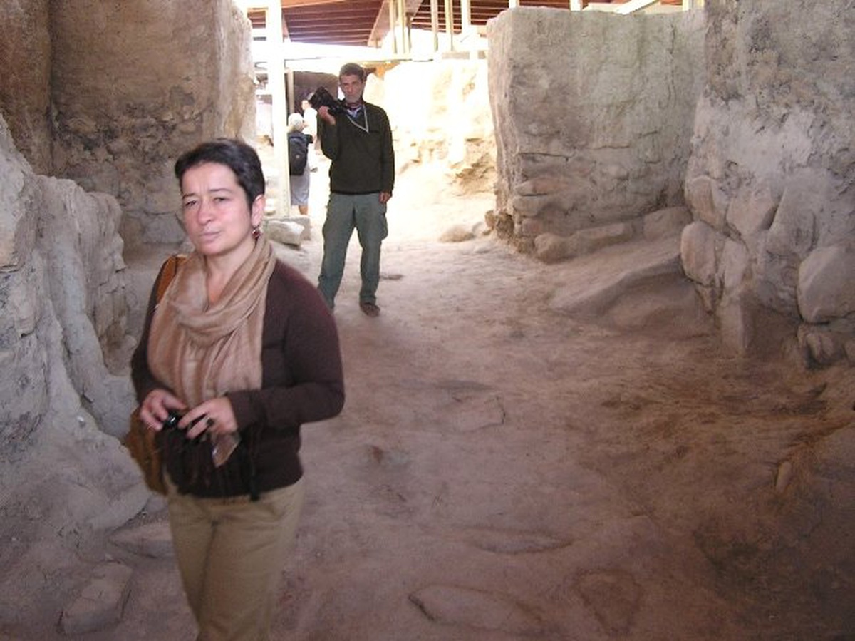 Aslan Tepe Höyüğü\'nde Bu Yılki Kazılar 15 Ağustos\'ta Başlayacak
