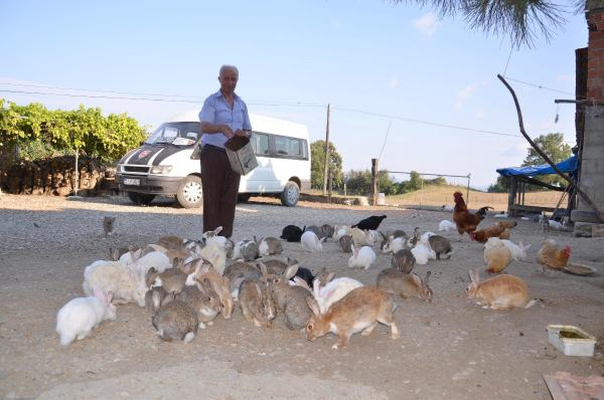 Beslemek İçin 4 Tavşan Aldı, 2 Yılda 450 Tavşanı Oldu
