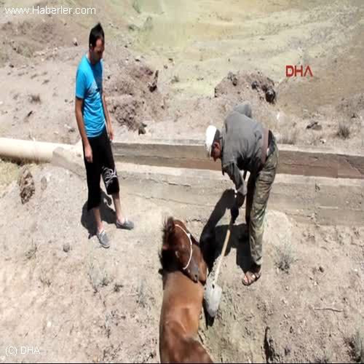 Erzurum Çukura Düşen Sahipsiz At Saatlerce Kurtarılmayı Bekledi