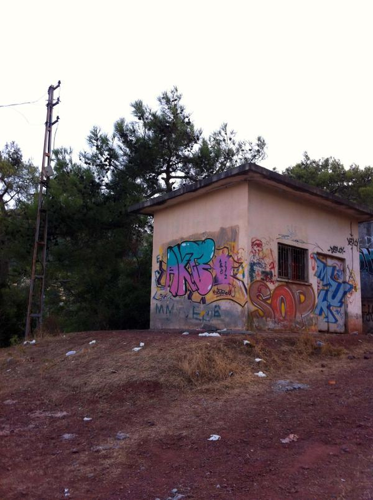 Elektrik Direğine Bağladığı Hortumla İntihar Etti