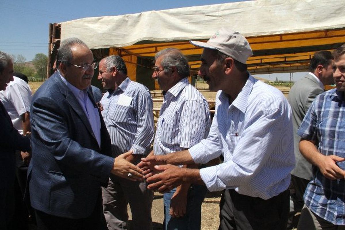 Sungurlu\'da Çekirdek Festivali