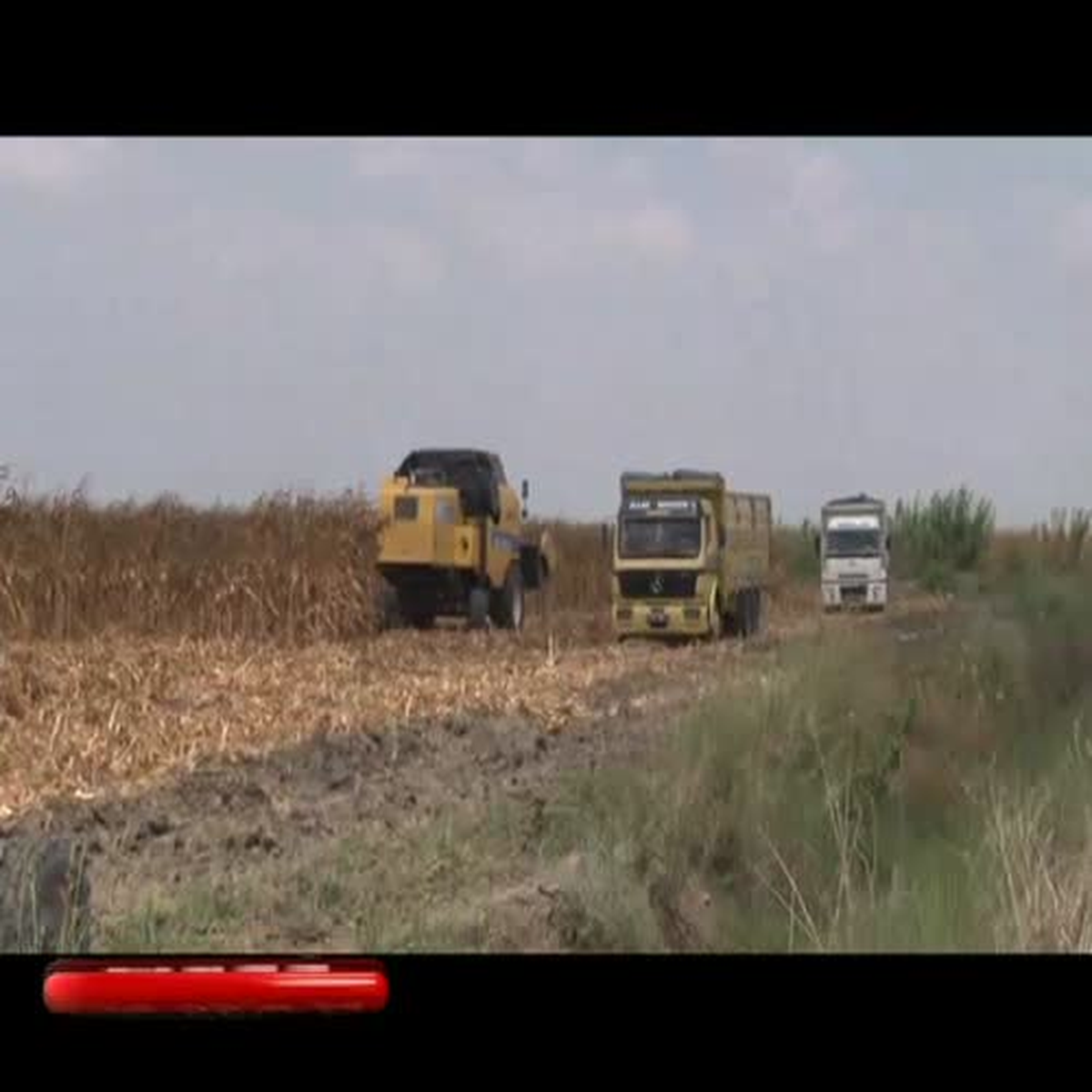 Adana\'da Kadın Cesedi Bulundu