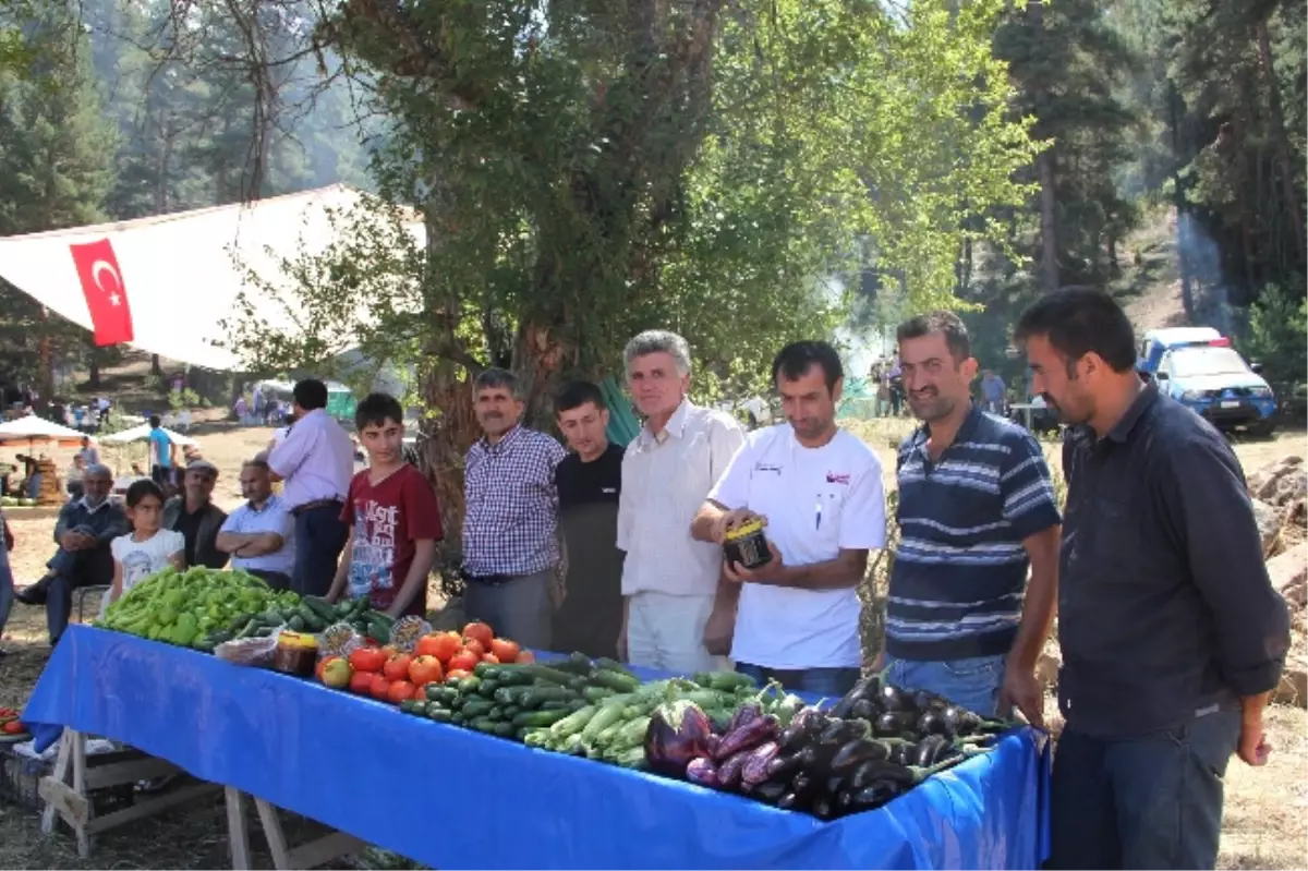 Ayvalı Köylüleri, Bayram ve Festivali Bir Arada Yaşadı