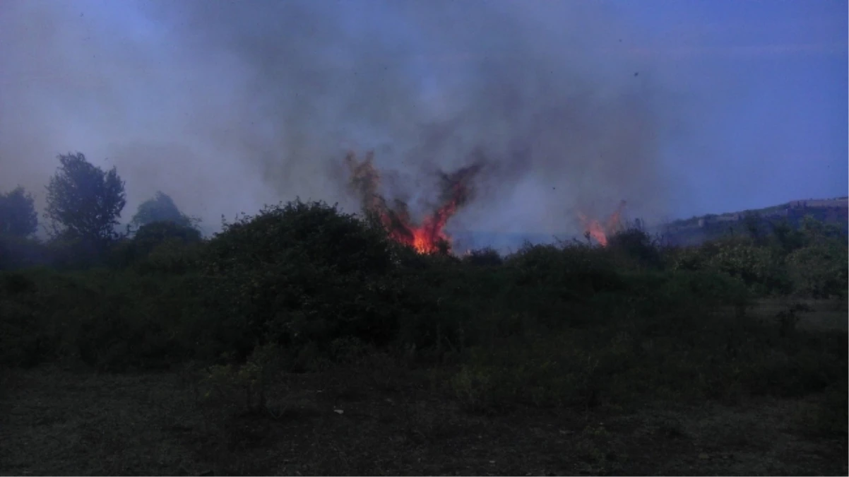 Filyos\'taki Sit Alanında Orman Yangını Çıktı