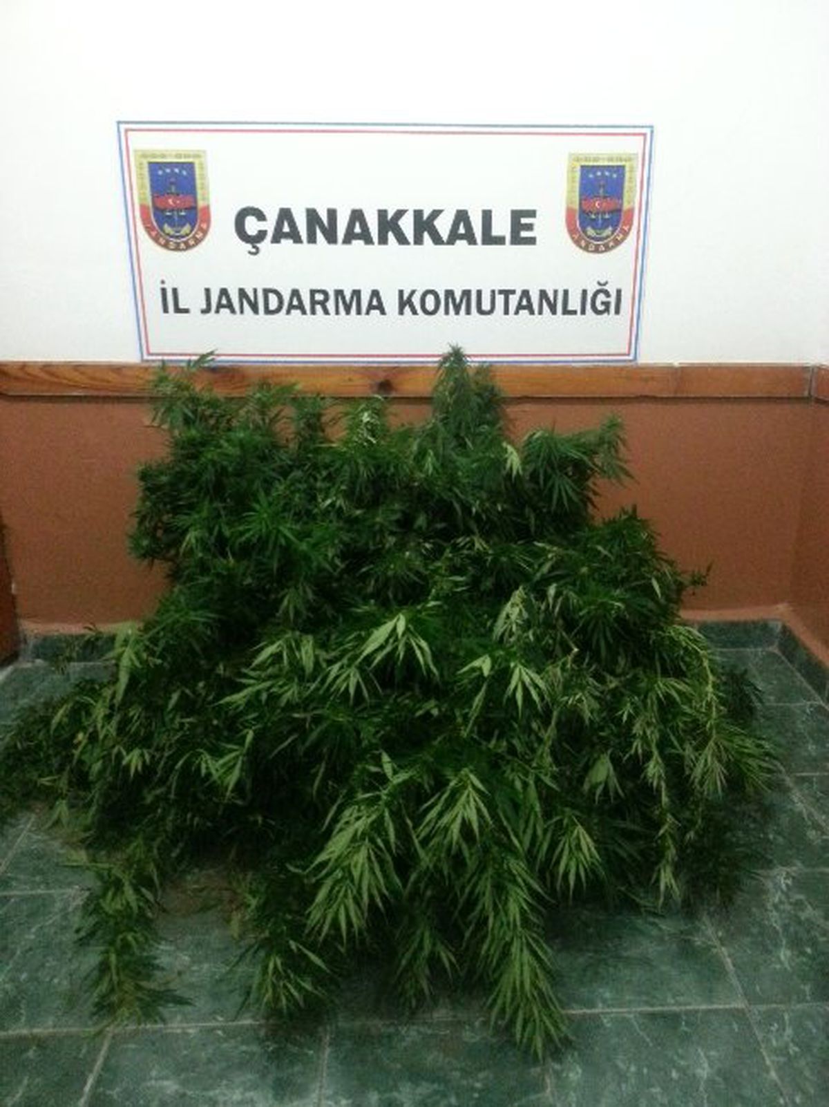 Çanakkale\'de Kenevir Operasyonu
