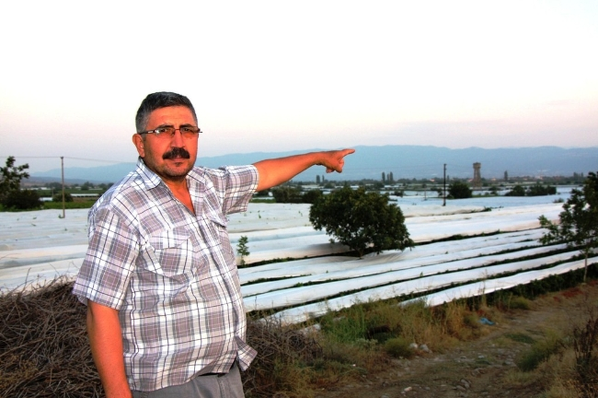 Dünyaca Ünlü Üzüm Bağları Örtü ile Korunuyor