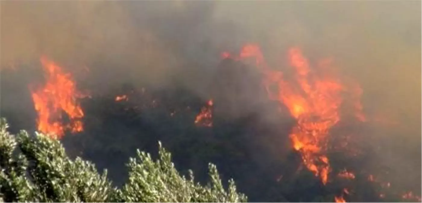 Yazılı Kanyon\'da Yangın