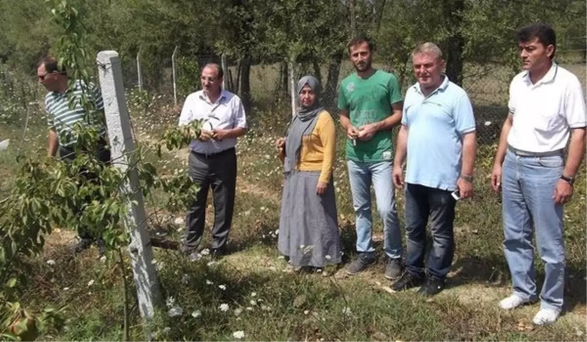 İl Gıda Tarım ve Hayvancılık İl Müdürü Çelik\'ten Nebioğlu Beldesine Ziyaret