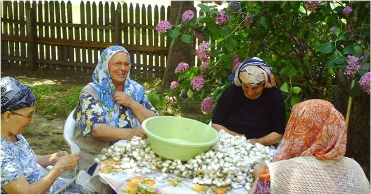 Kadın Çiftçi Tüm Kadınlara Örnek Oldu